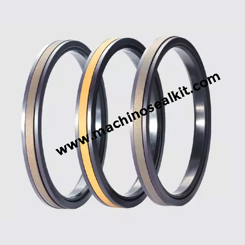 SPGW Piston Seal